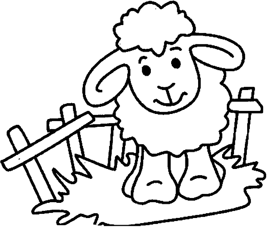 羊给孩子们的羊