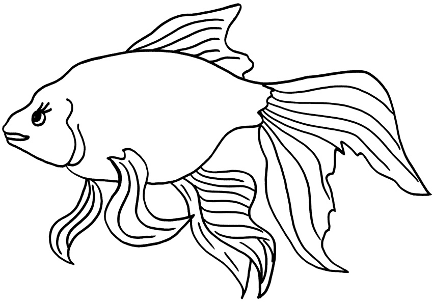 Simple Goldfish Coloring Page