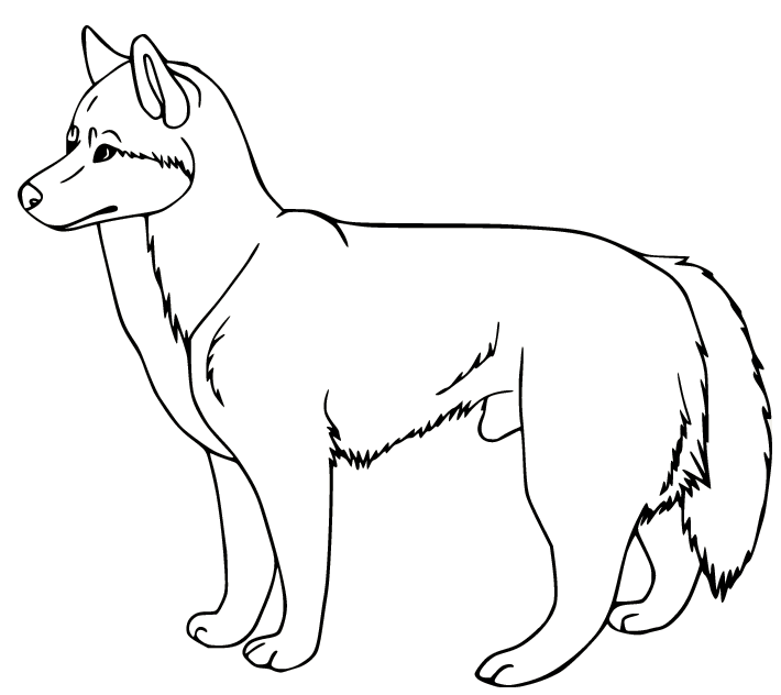 Simple Husky Coloring Page