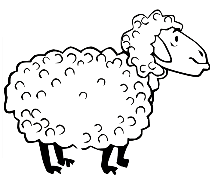 简单的老羊从羊