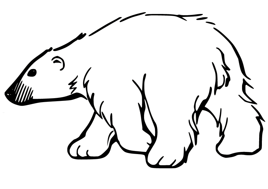 Simple Polar Bear Coloring Page