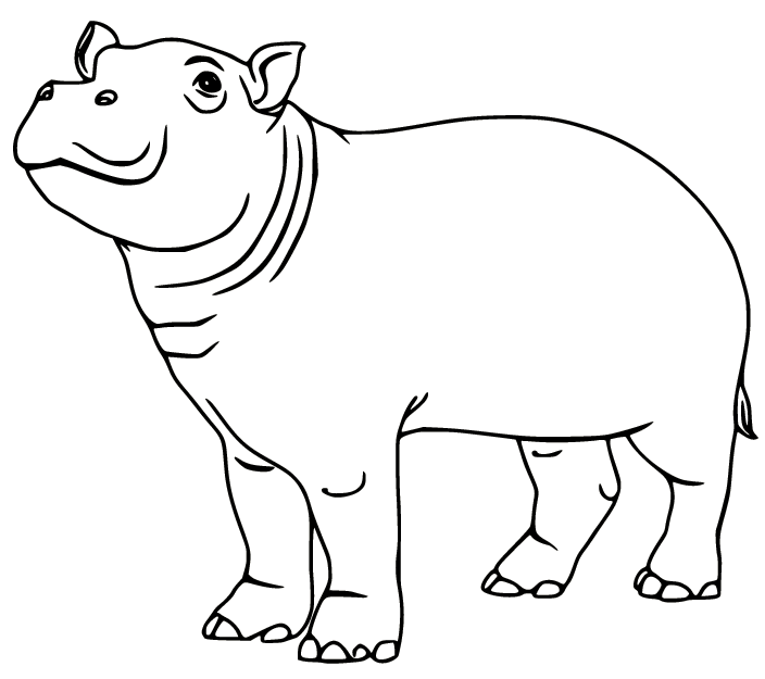 Simple Pygmy Hippo Coloring Page