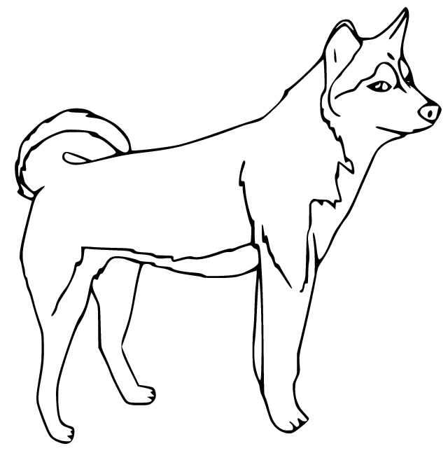 Simple Walking Husky Coloring Pages