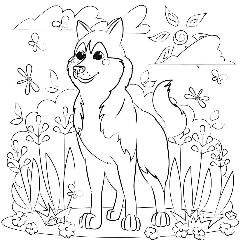 Smiling Husky Coloring Pages