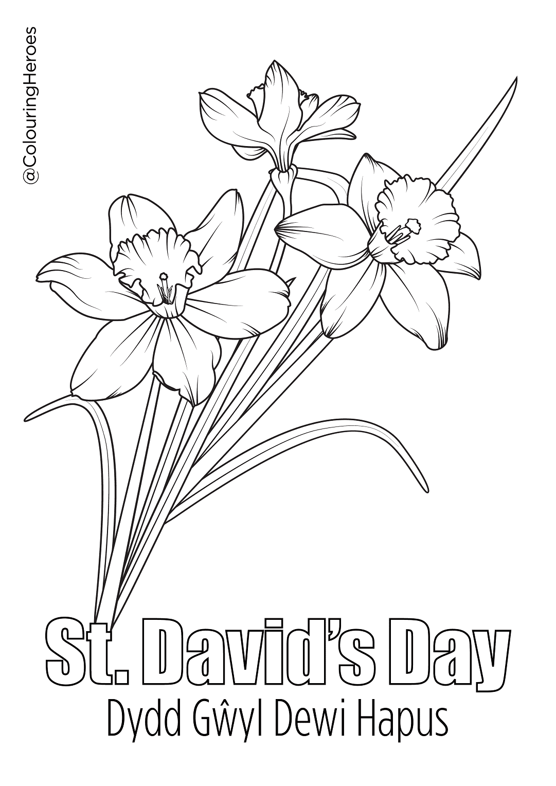 St Davids Day Free Coloring Page