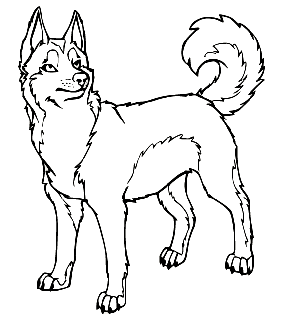 Strong Husky Coloring Pages