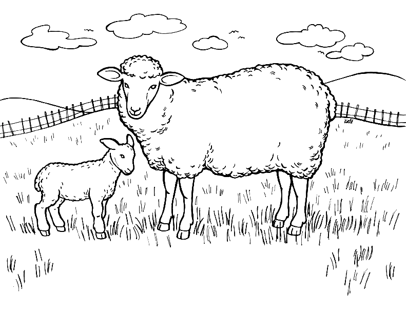 Two Sheep in the Meadow Coloring Pages