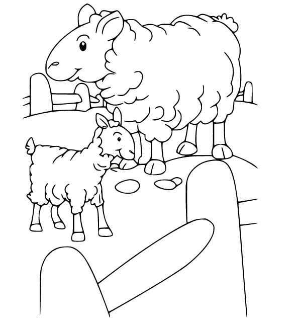 Coloriage de deux moutons dans le stylo