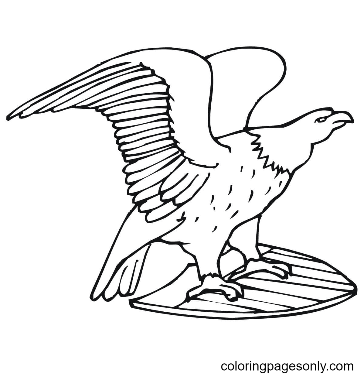 US Bald Eagle Coloring Page