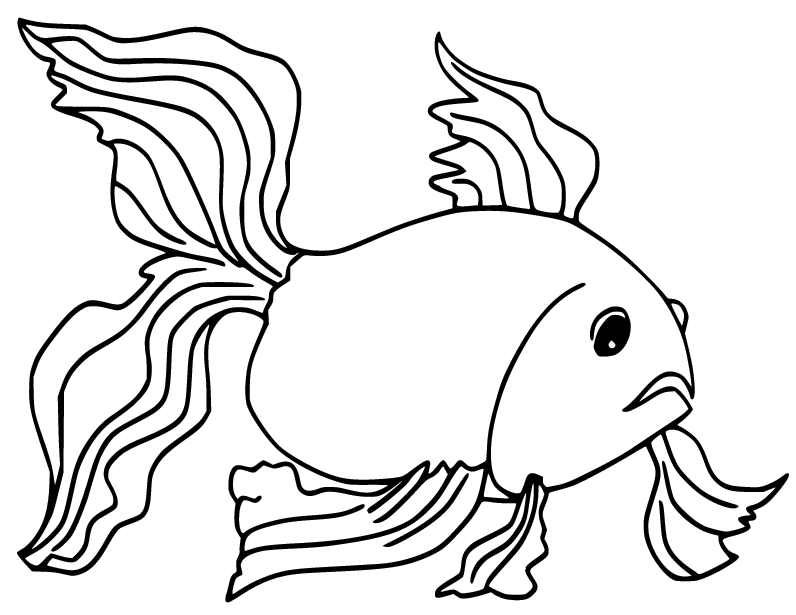 Pesce rosso Watonai da Goldfish