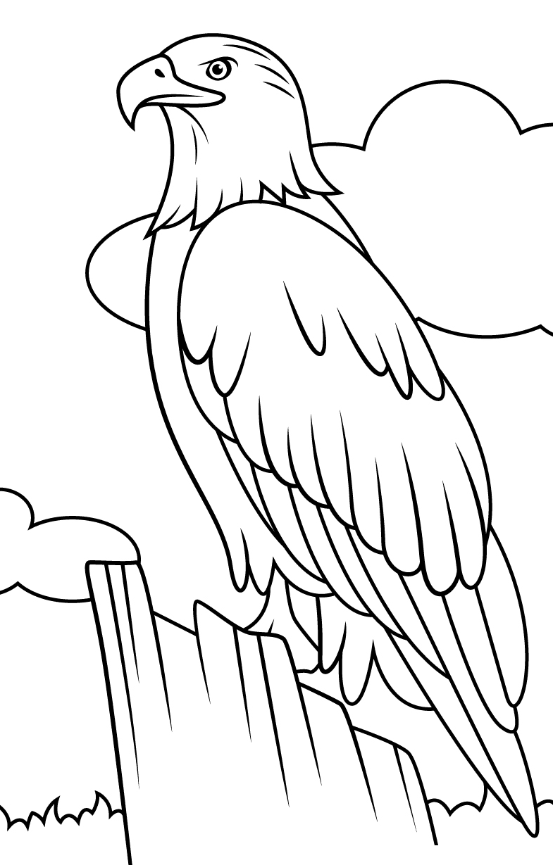 Злой белоголовый орлан из Орла