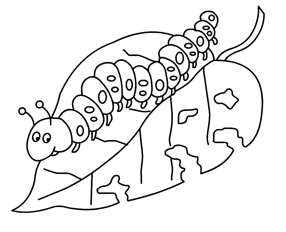 Worm eat Leaves Coloring Page