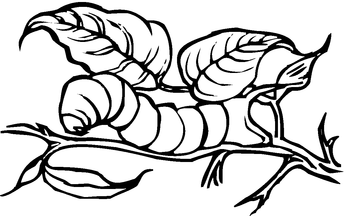 Worm to Print Coloring Page