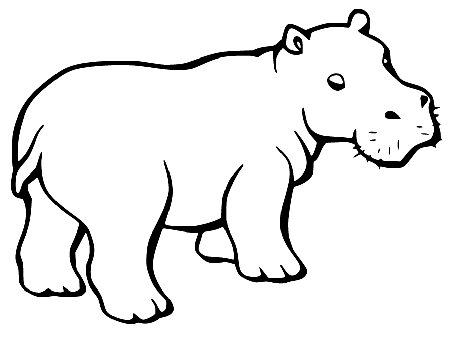 Young Hippo Coloring Page