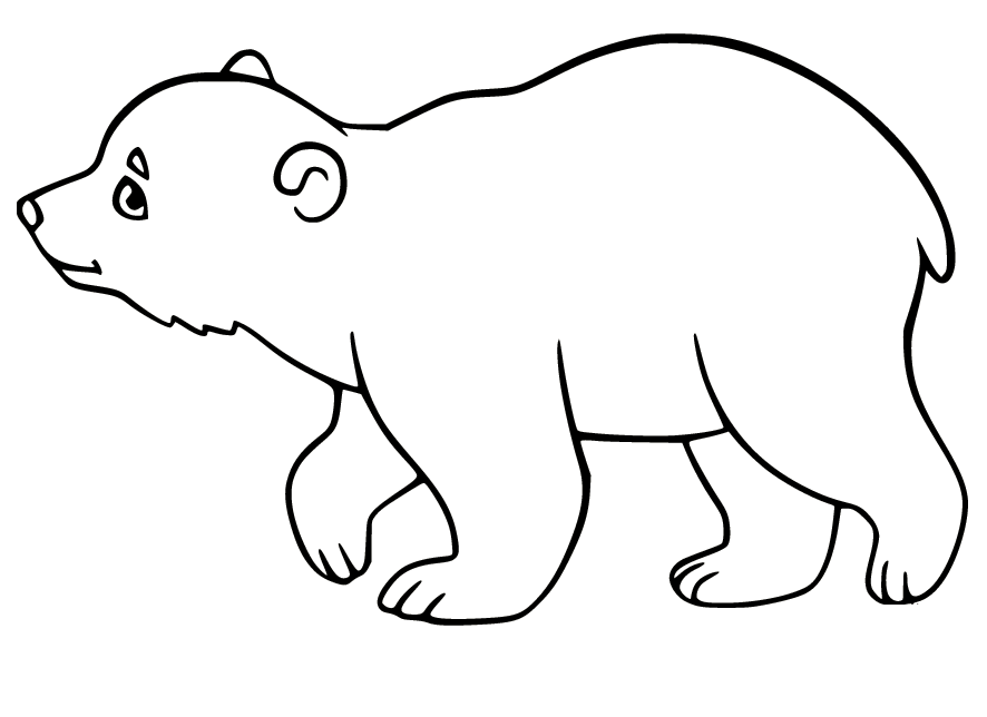 Young Polar Bear Walking Coloring Page