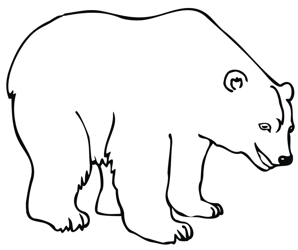 Медведь вид сбоку контур