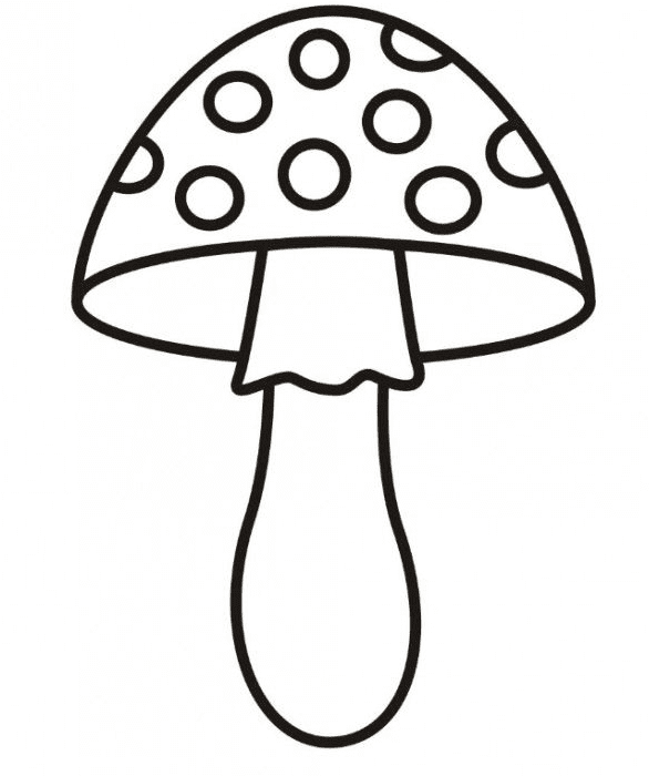 Um cogumelo de cogumelo