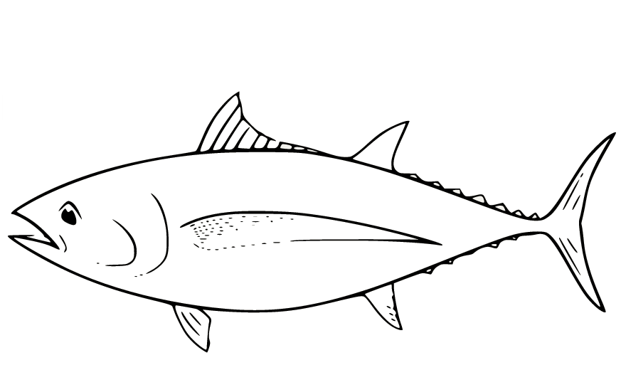 Kleurplaat Albacore Tonijn Fish