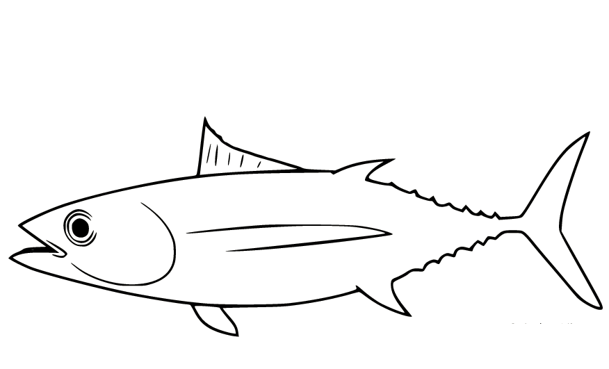 长鳍金枪鱼 可从金枪鱼打印