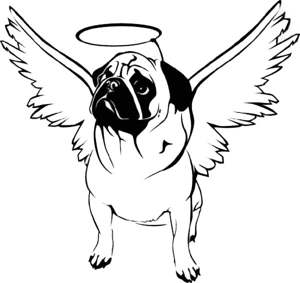 Angel Pug Coloring Pages