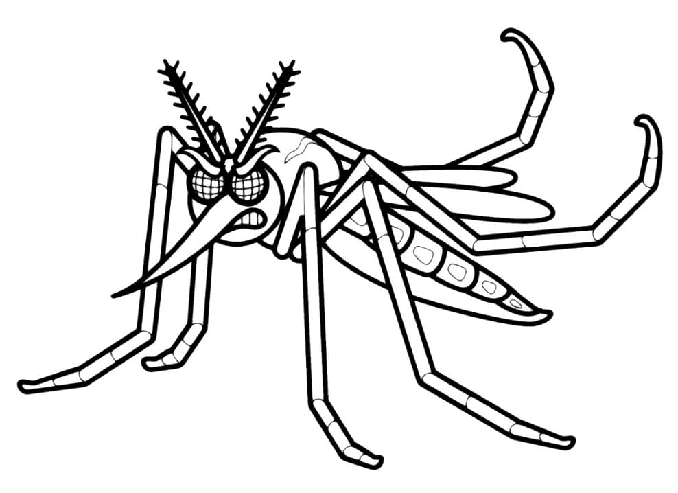 Zanzara arrabbiata da Mosquito