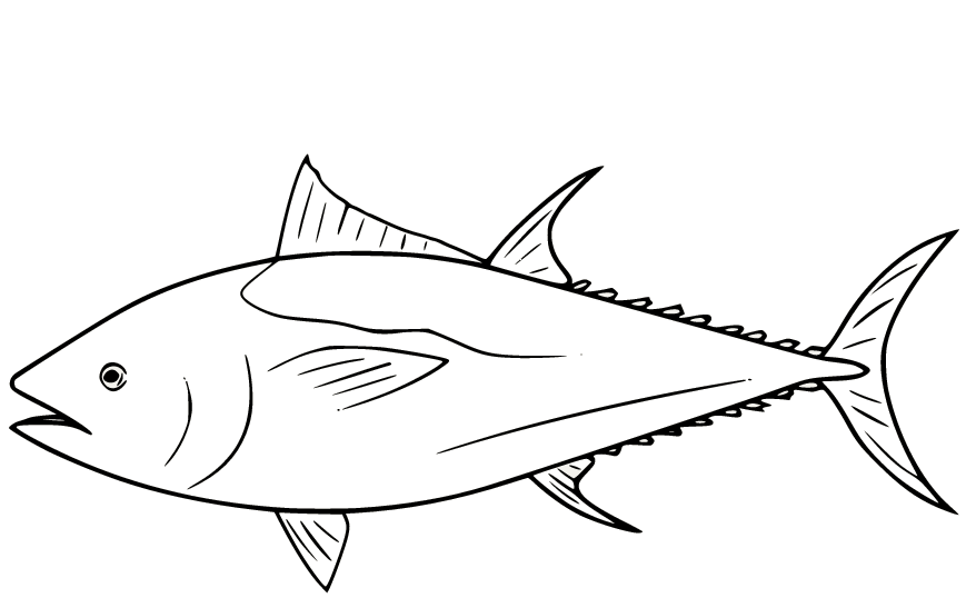 Página para colorear de atún rojo del Atlántico