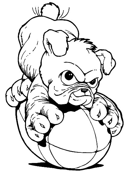 Baby Bulldog for Kids Coloring Page