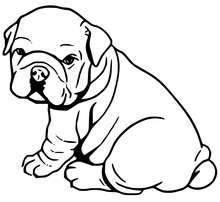 Baby Bulldog Coloring Page
