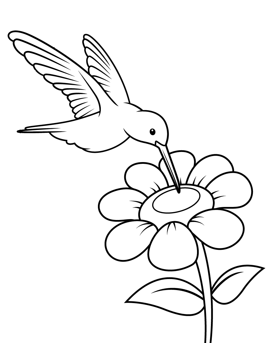Красивая колибри из мультфильма "Колибри"