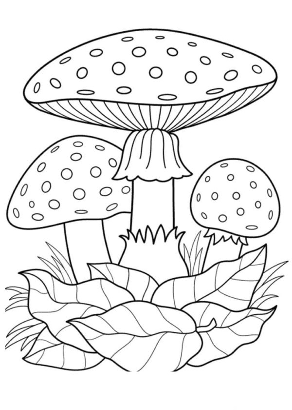 Bella pagina da colorare di funghi