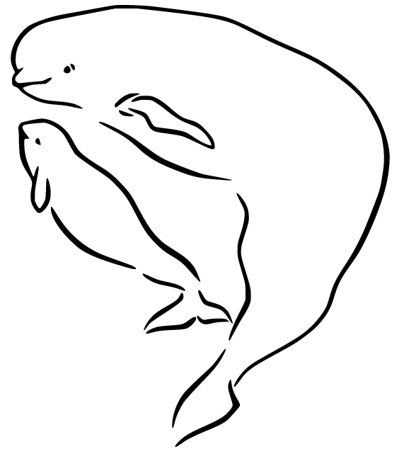 Beluga Whale and Calf Coloring Page