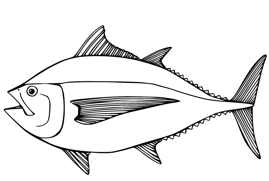 Большой тунец Альбакор из Tuna