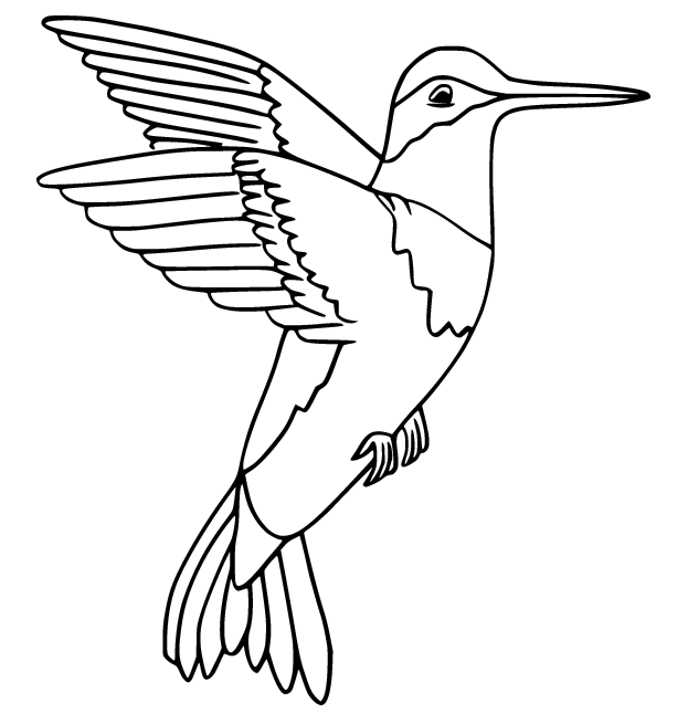 Black Chinned Hummingbird Coloring Pages