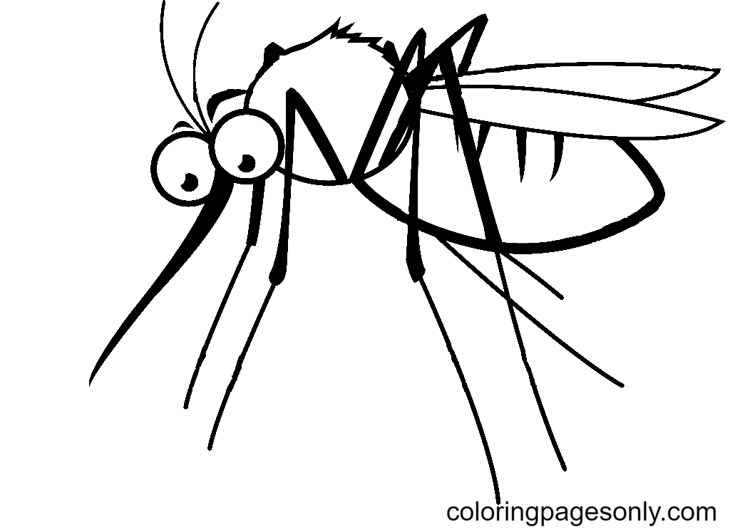 Zanzara che succhia sangue dalla zanzara