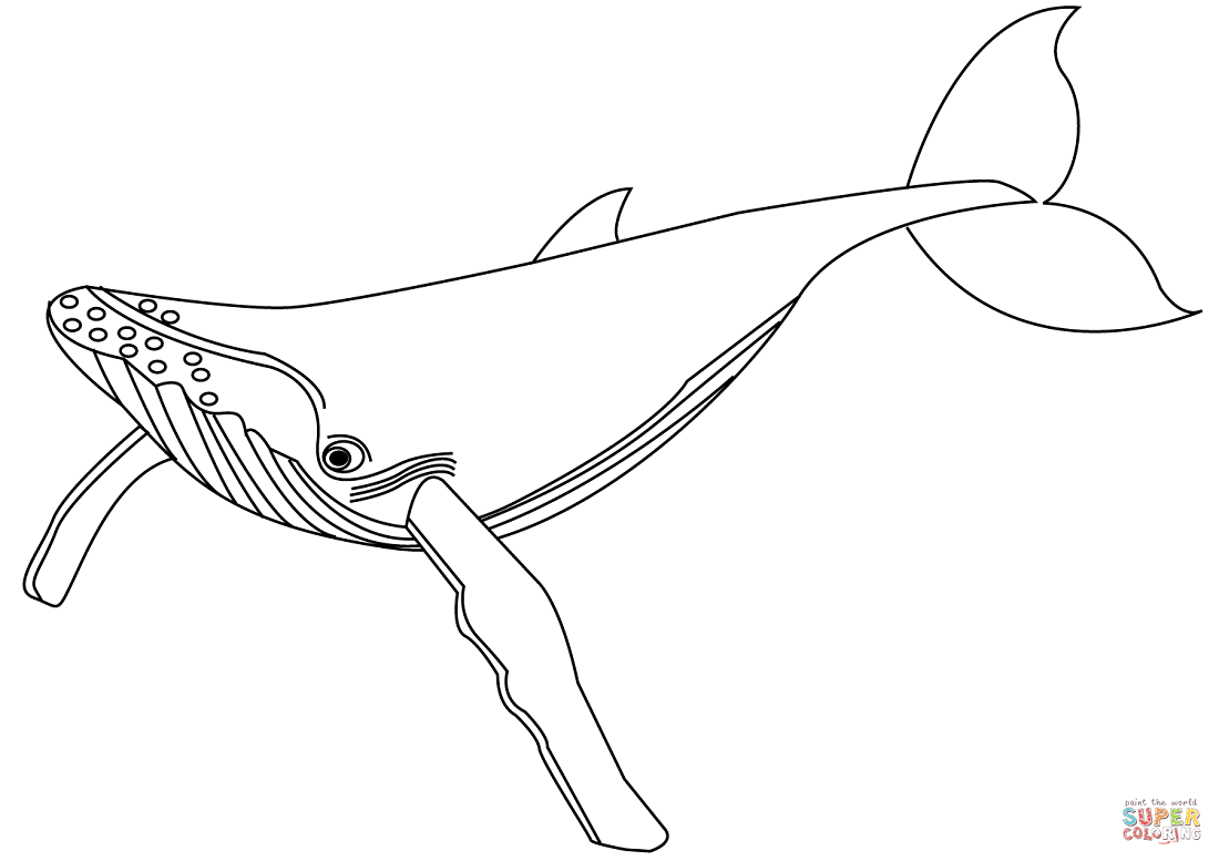 Раскраска Синий кит для печати