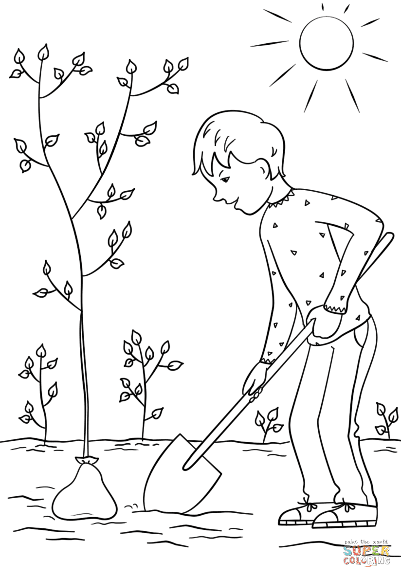 Boy Planting a Tree Coloring Page