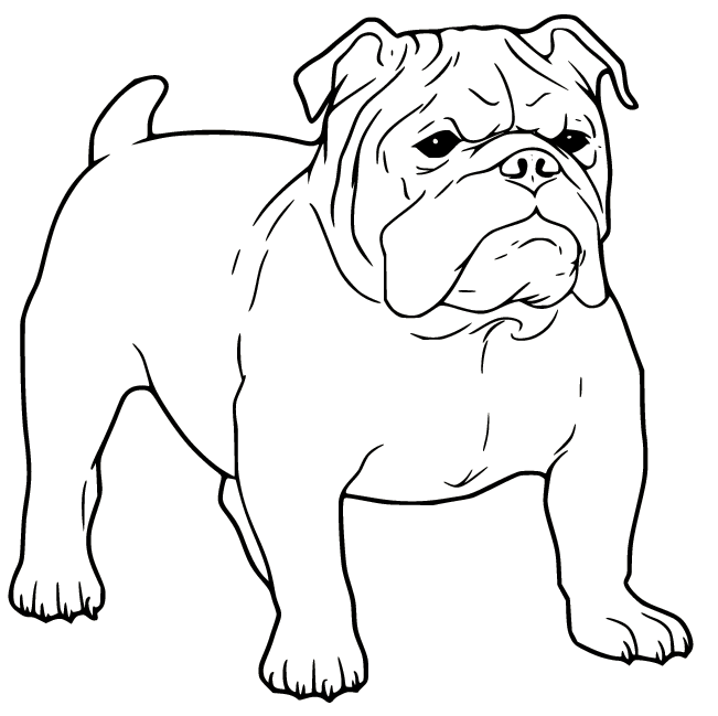 Bulldog Página Para Colorear Gratis Para Imprimir