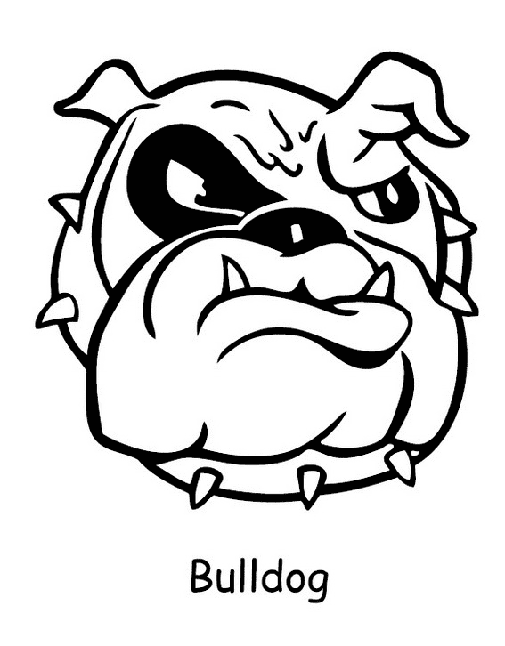 Tête de bouledogue de Bulldog