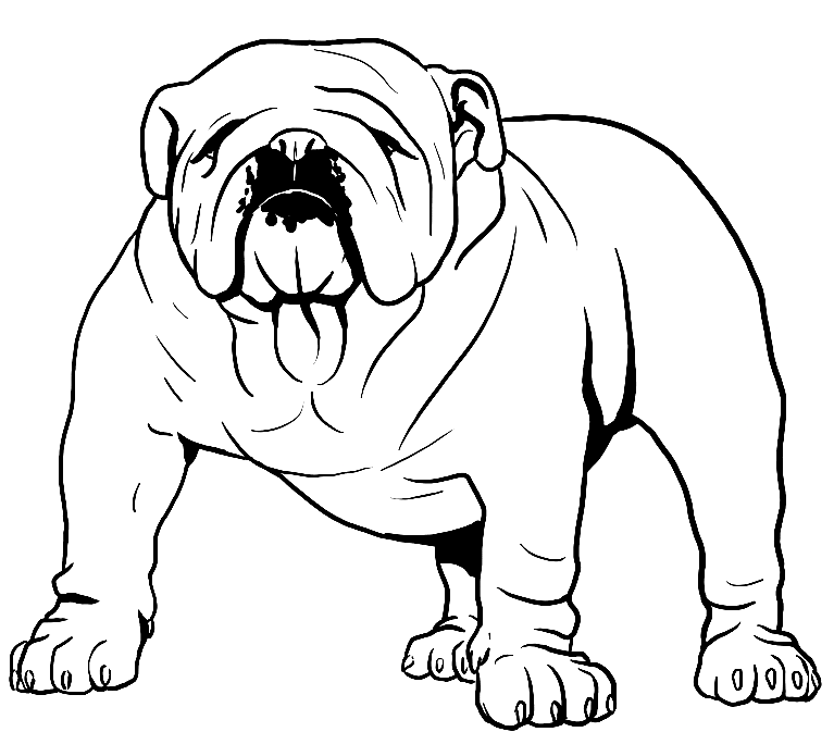 Bulldog-Bettlaken von Bulldog