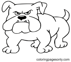 Bulldog Coloring Pages