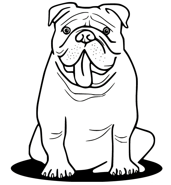 Bulldog in the Puddle Coloring Page