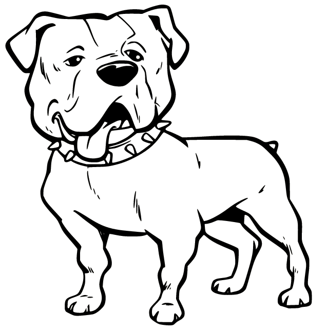 Bulldogge mit Halsband von Bulldog