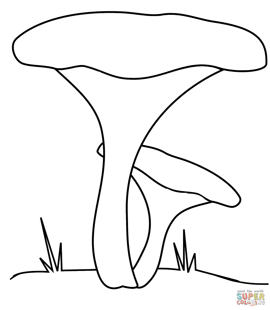 蘑菇中的鸡油菌蘑菇