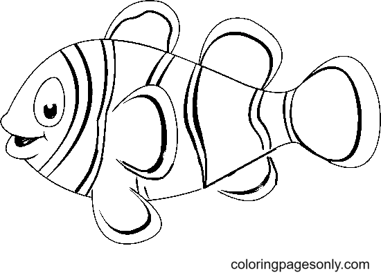 Desenho de peixe-palhaço from Peixe-palhaço