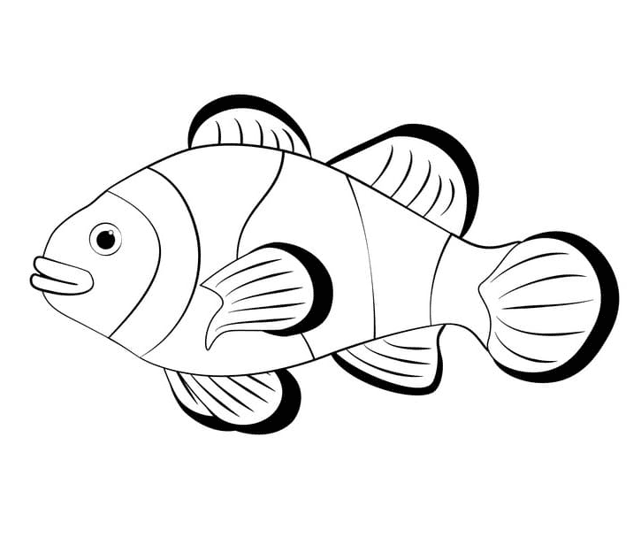 Clownfish Printable Coloring Page
