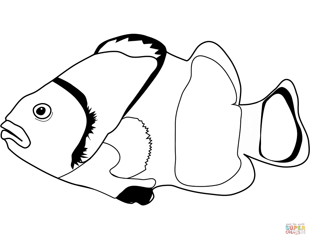 Clownfish Sheets Coloring Pages