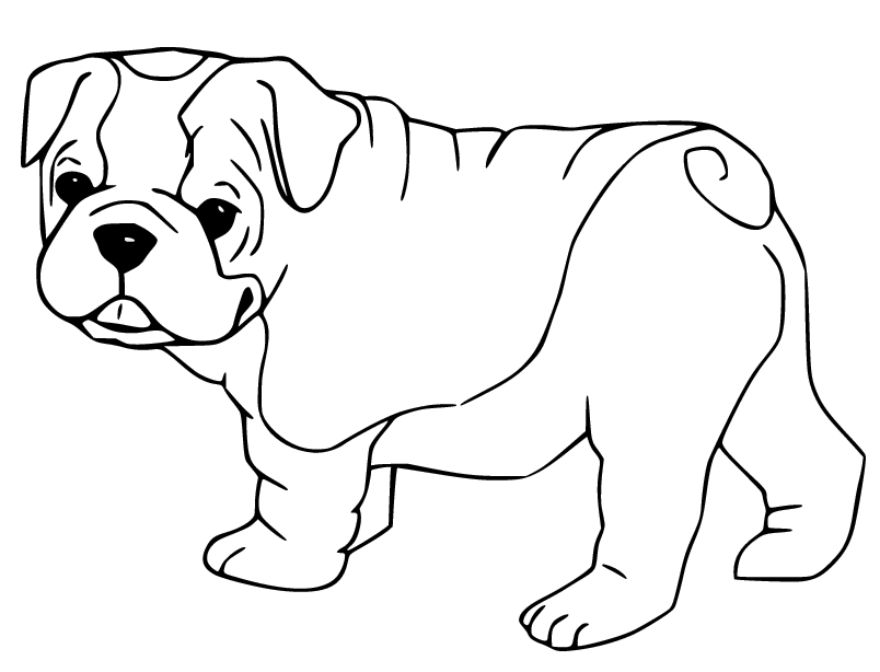 Pagina da colorare di cucciolo carino Bulldog