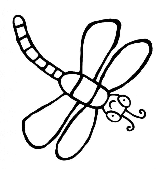 Cute Dragonfly from Cute