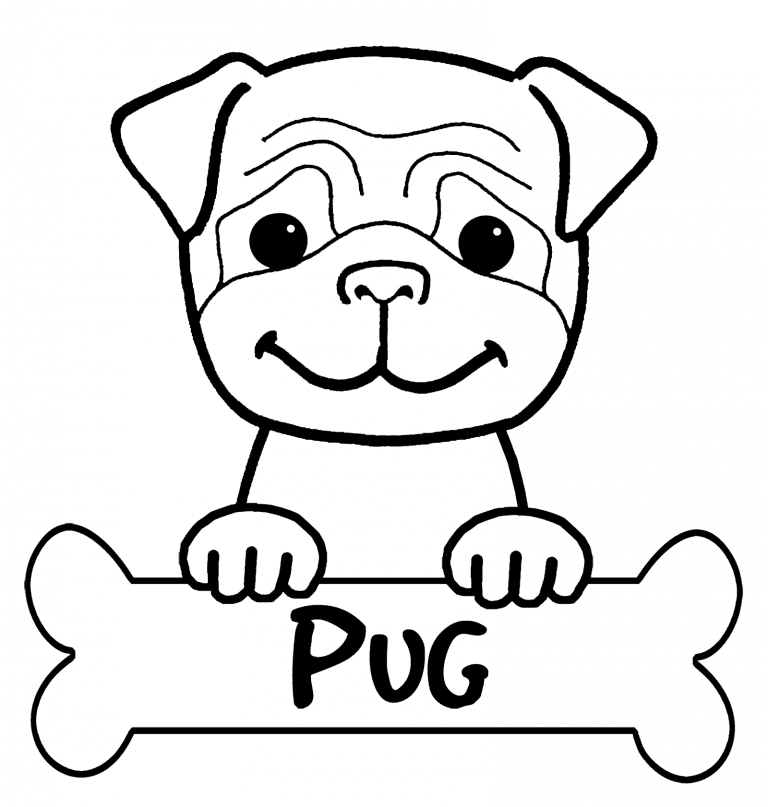 Süßer kostenloser Mops von Pug