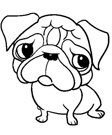 Cute Pug for Kids from Pug